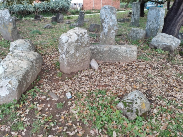 491973898_122212244576170547_1489892681948079998_n