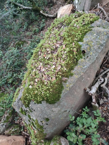 491976148_122212245230170547_3993091973450858424_n