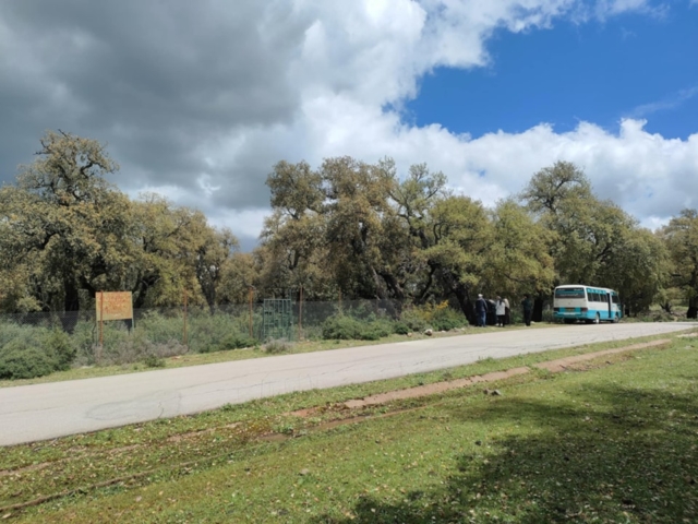 491980814_122212245314170547_3392858972727271300_n