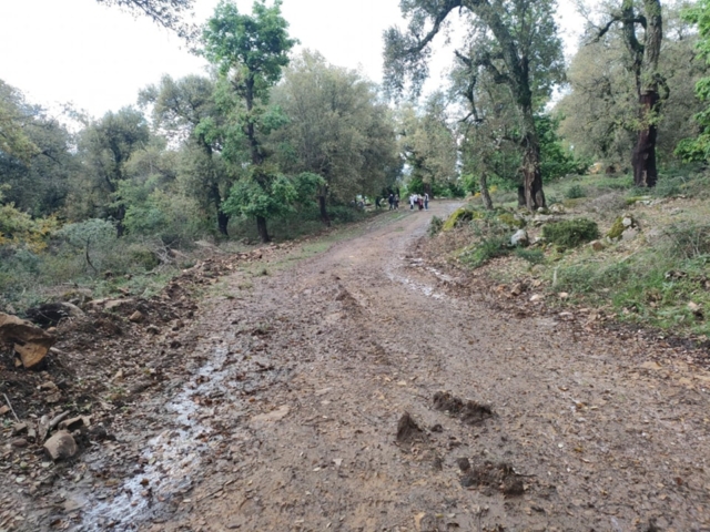 491994690_122212245182170547_5105909233212085265_n