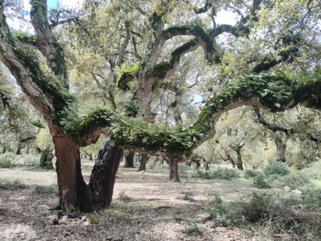 491995918_122212245362170547_457810325964365983_n