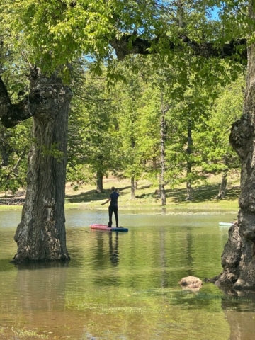 491996065_122212356128170547_7813012739398825466_n