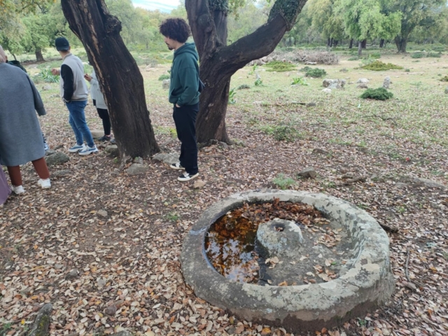 491998304_122212244522170547_7992412828206504769_n