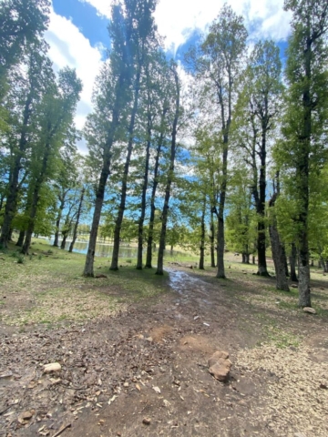 492000033_122212356350170547_4876303024529936839_n