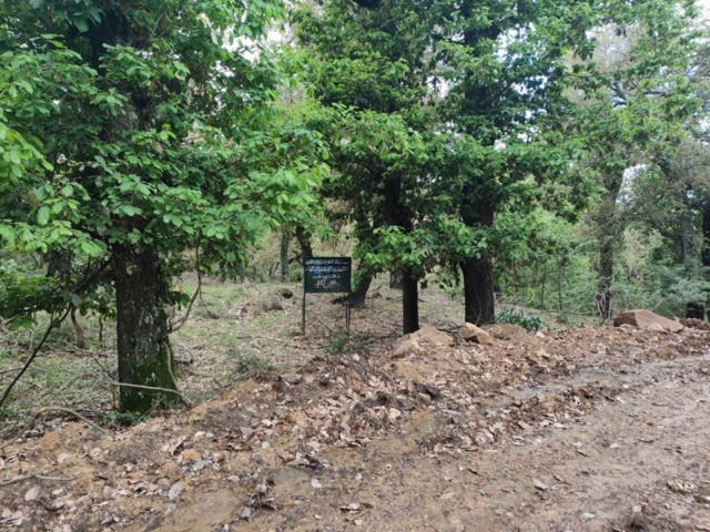 492001187_122212245092170547_2659775864516989736_n