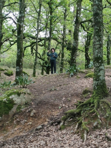 492003582_122212244930170547_2351587726277851986_n