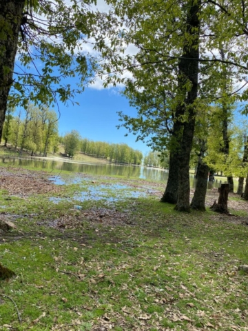 492005147_122212356944170547_7330664543110179620_n