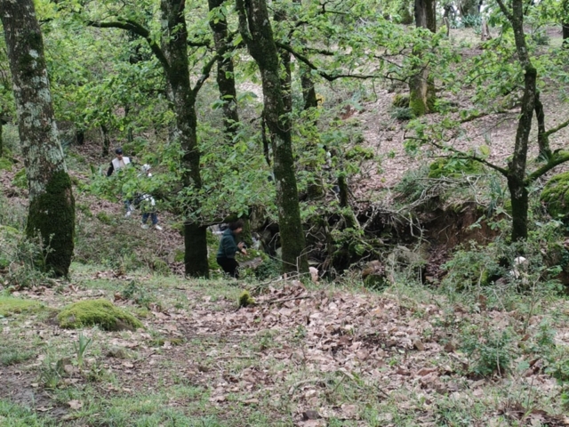 492015352_122212244984170547_1769126759418721661_n