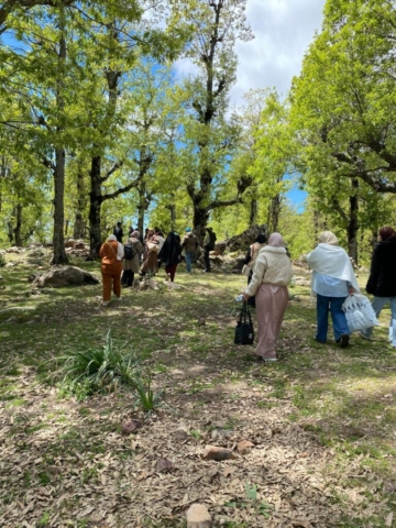 492023572_122212356560170547_396665479016357542_n