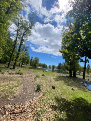 492068849_122212356668170547_4532599152951072694_n