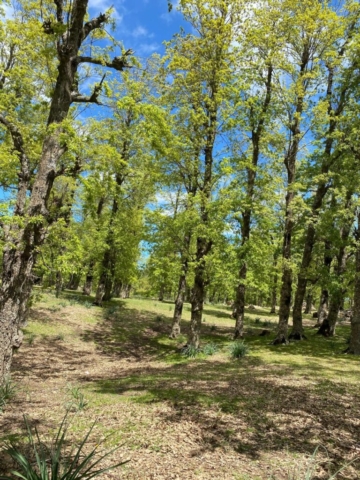 492081155_122212356704170547_4219028055318641990_n