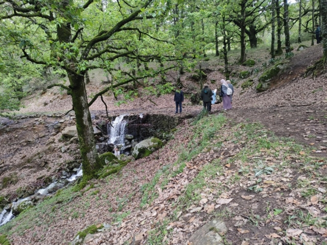 492093264_122212244888170547_9106271726671956416_n