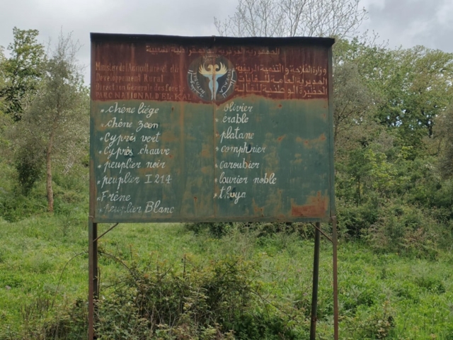 492110200_122212244804170547_6088798266582509768_n