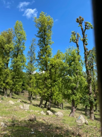 492110533_122212356662170547_8829115570428667611_n