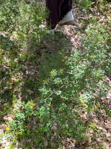 492136426_122212356272170547_2560529755659399715_n