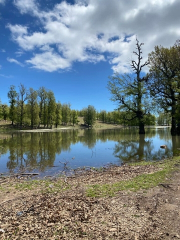 492200224_122212357016170547_6638169229962138020_n