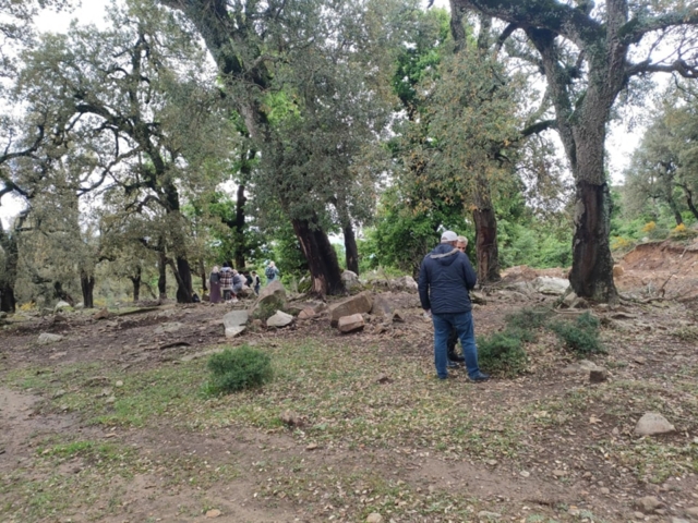 492230096_122212245272170547_2709423047964774301_n