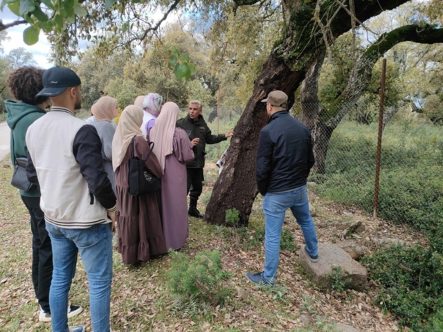 492361077_122212245410170547_1265857903072431279_n