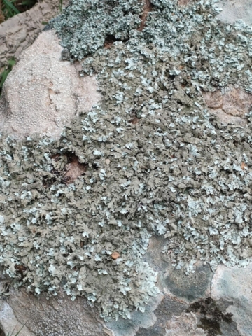 492363004_122212245134170547_4160162361805248015_n