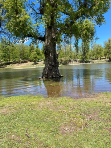 492401124_122212356824170547_293754046066945604_n