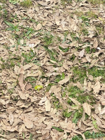 492538405_122212356878170547_1649878858902299215_n