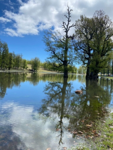 493357161_122212356596170547_2791751793648929507_n