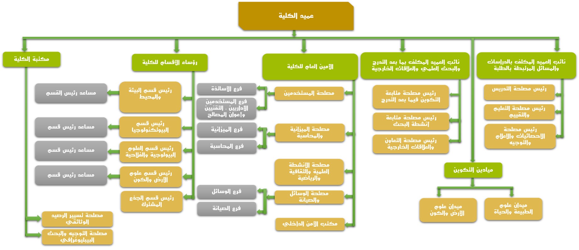الهيكل التنظيمي للكلية